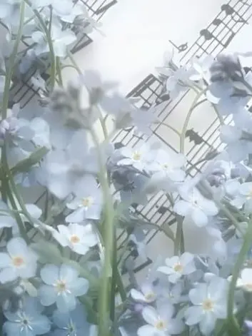re_i_llove10의 元 Ｎｏ． 1 。