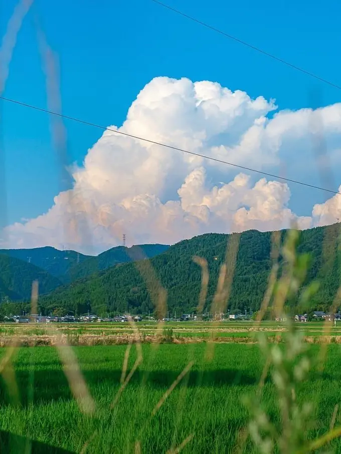 orz.00의 この夏、僕たちは