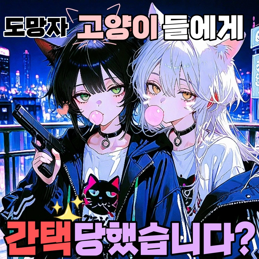 흑묘 & 백묘