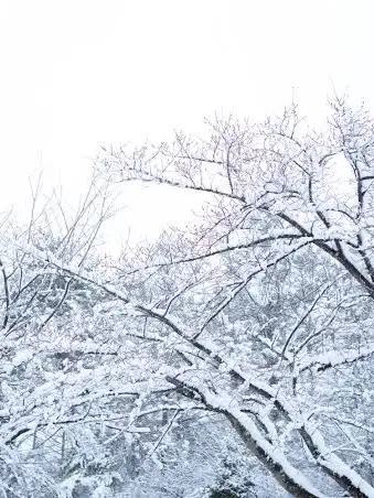 ChillyPotoo9826의 相談室<日本>