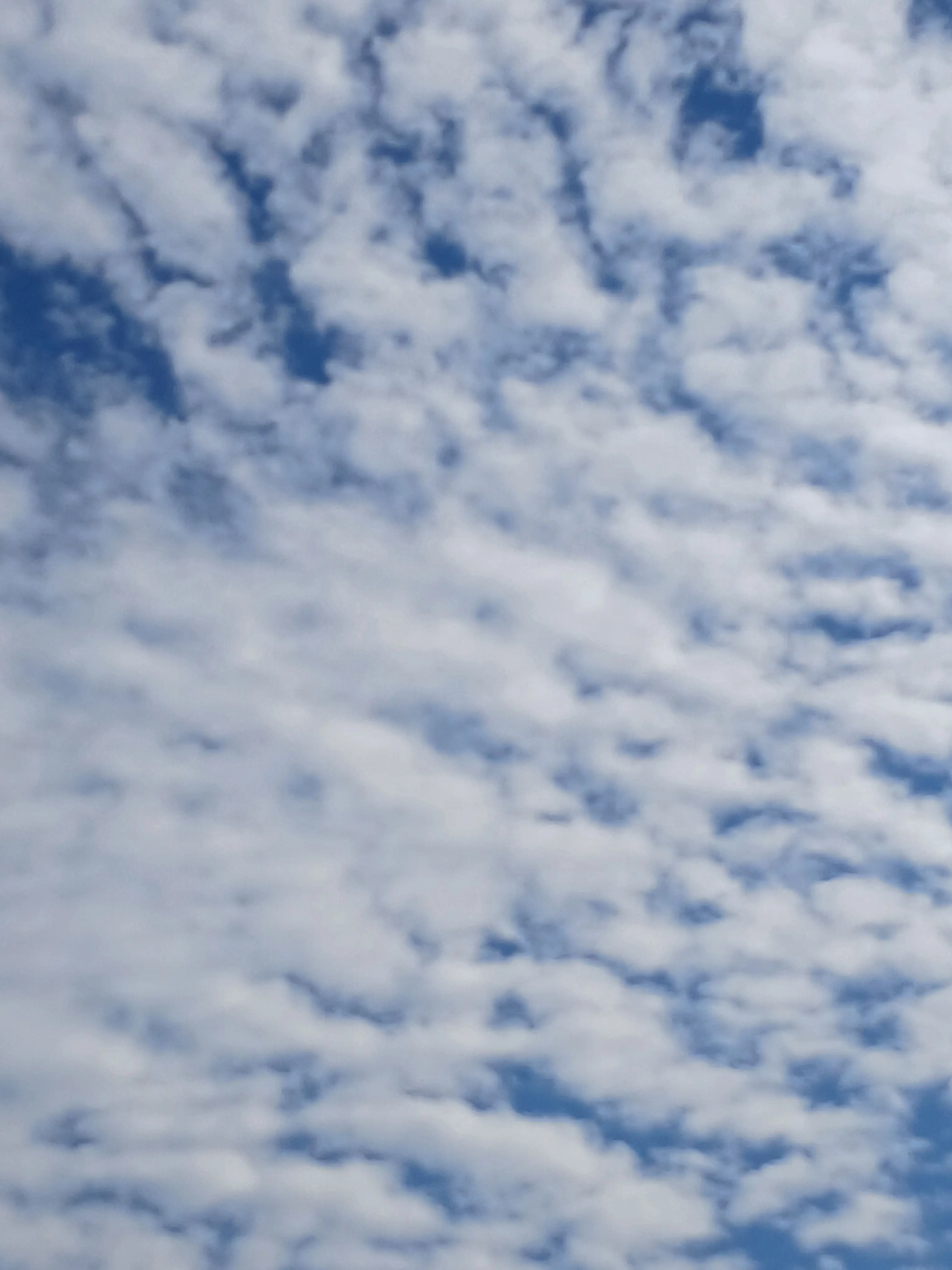 PlacidFrug2668의 TS