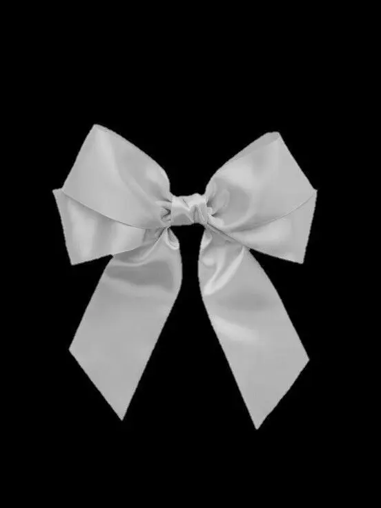 StarkPig4576의 연지원