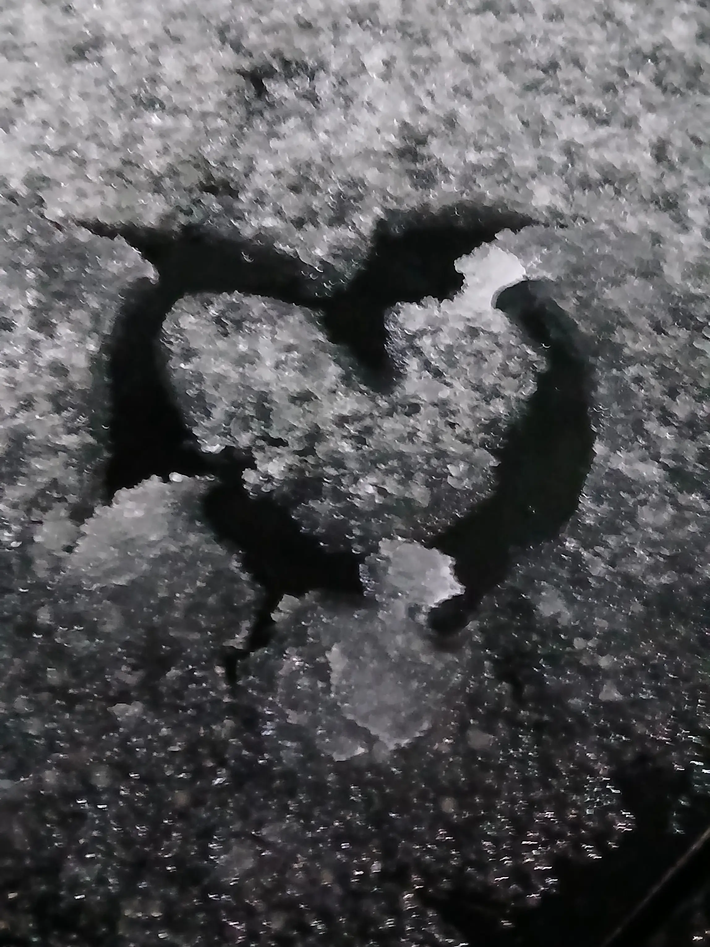 MilkyWay0의 아이돌 자유롭게😎