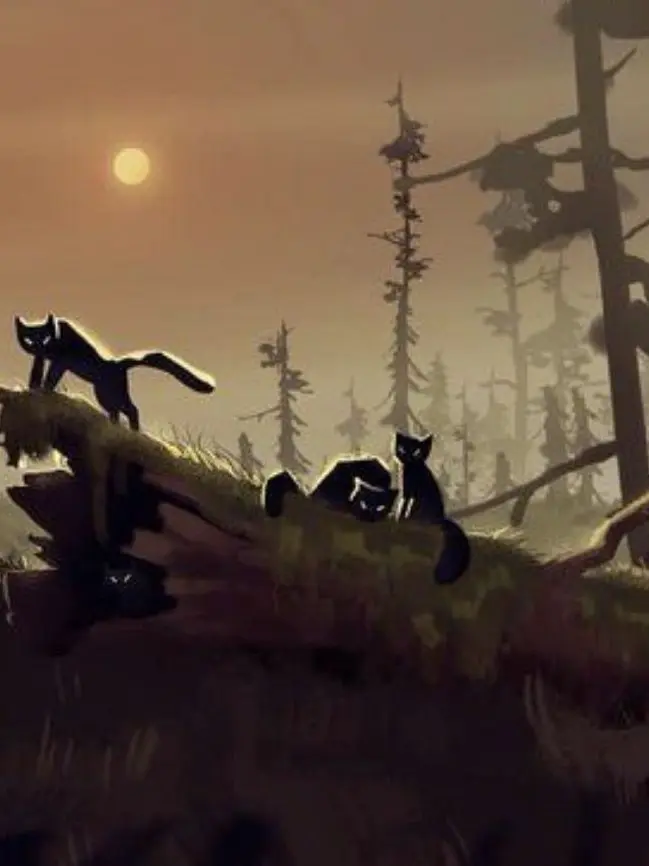 TriteRadio9159의 Cats OC