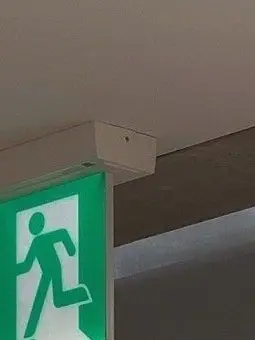 do_duck의 睡眠