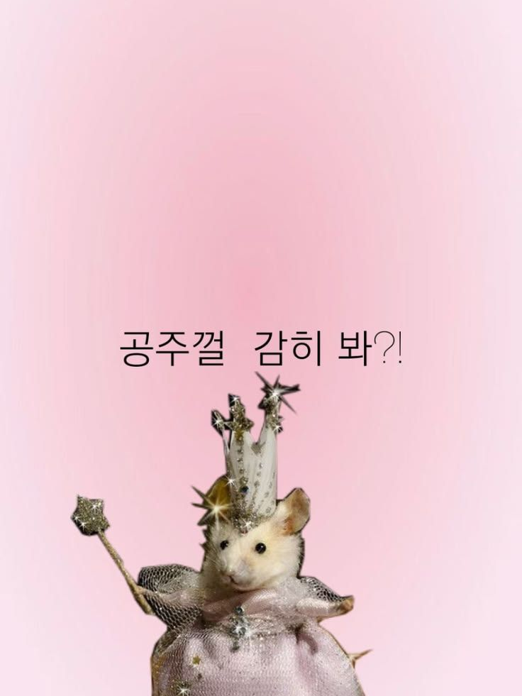 그건 사랑이 아니야. 대표 이미지