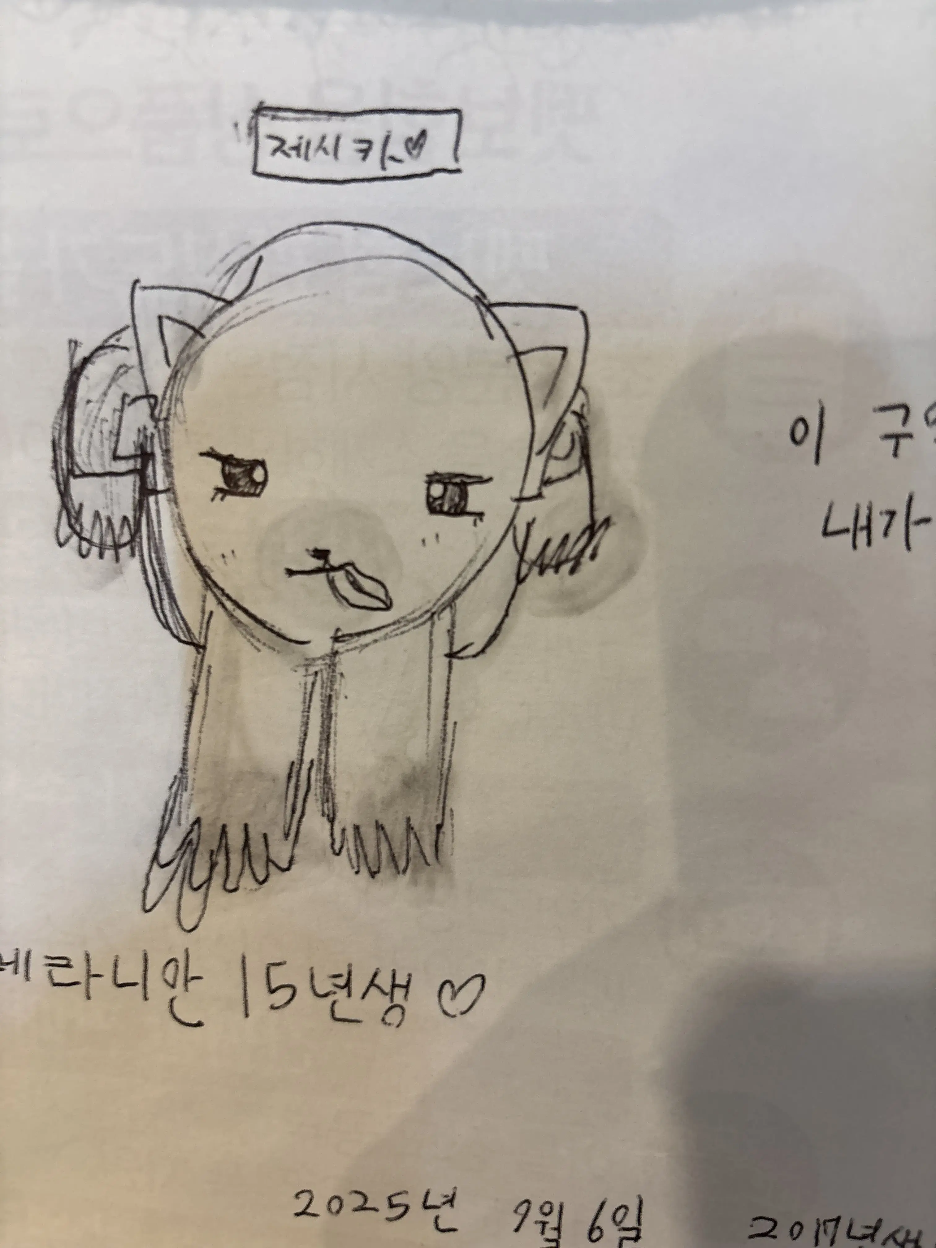 SevereDorgi7578의 여우 채험