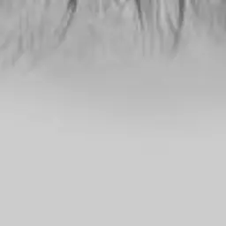 ExpertApple2439의 男しかいない世界「カンヒュ」