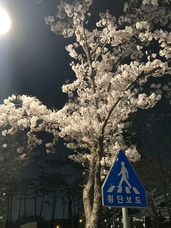 WetBlade6641의 絶対に恋愛フラグを立てるな!!