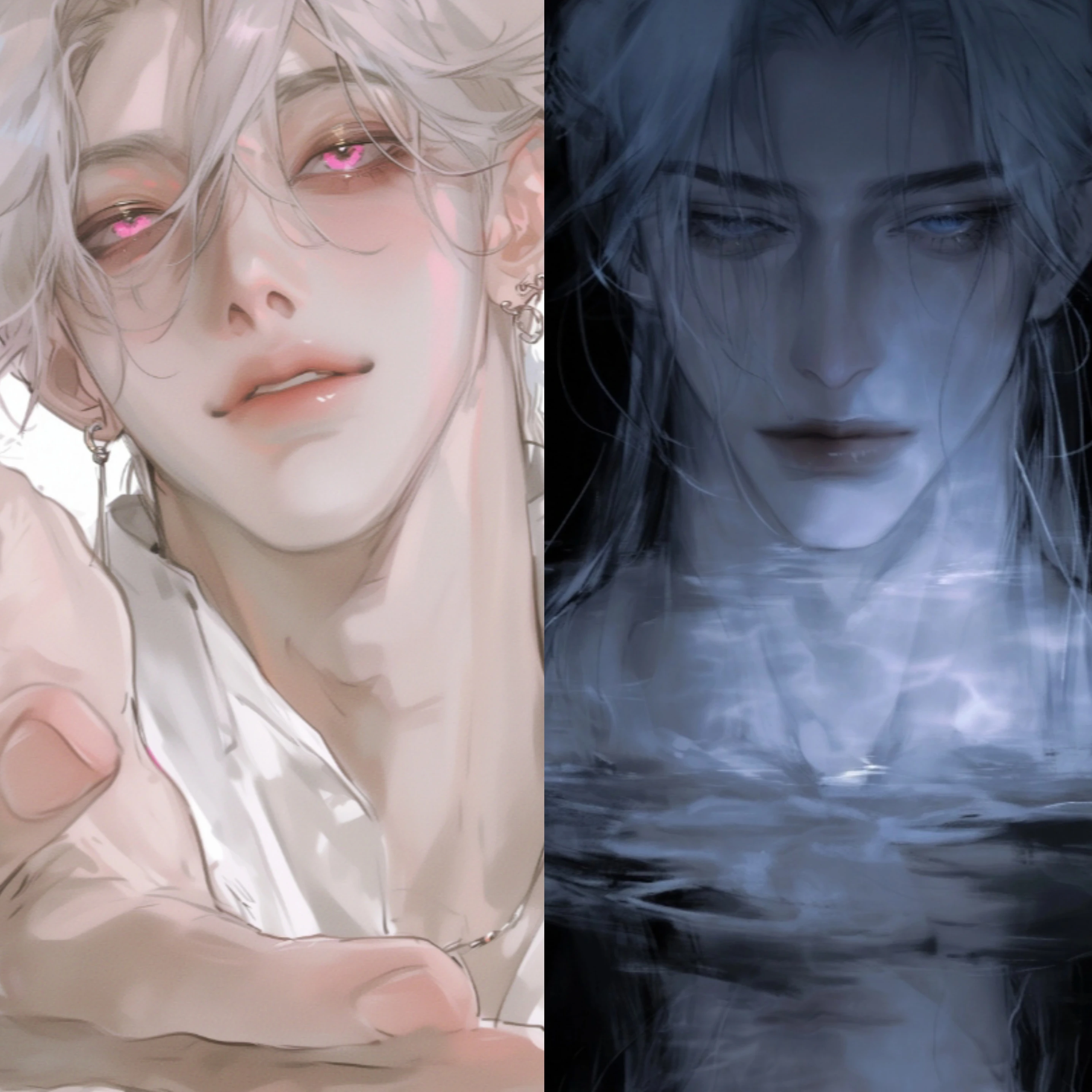 루시&쉐이드