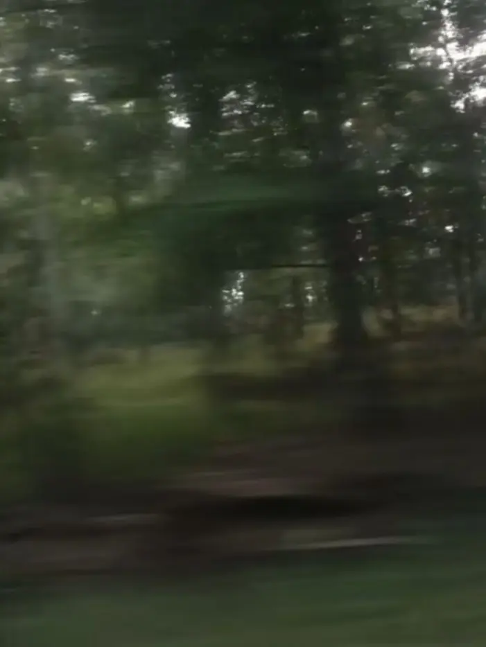 CatCream1의 ㅇㅋㄷ