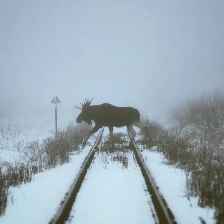 TartanBatik6299의 ...아저씨, 하룻밤만 재워주세요..