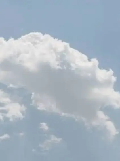 Fqgwuqiqj의 미수반의 여름휴가