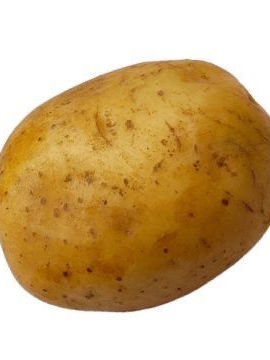 (드림아님) 대표 이미지