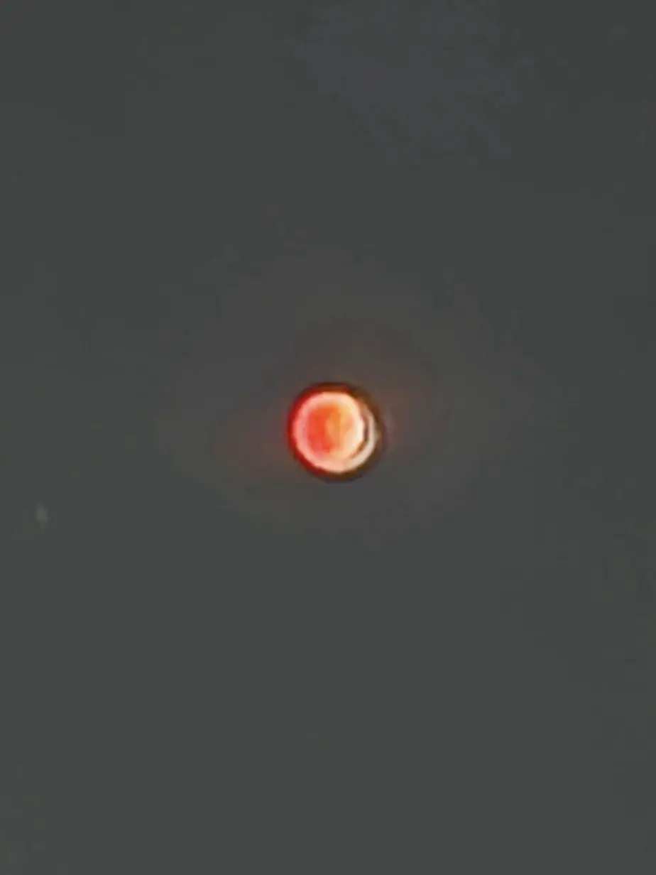 TestyLoris1564의 insect breeder