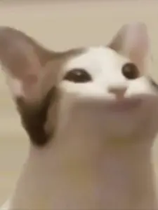 munjjaE의 4명과의 동거