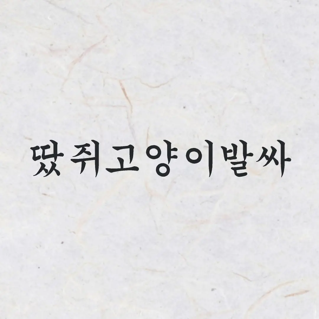 danileelol의 여우년이 내 짝남을 뺏었다?