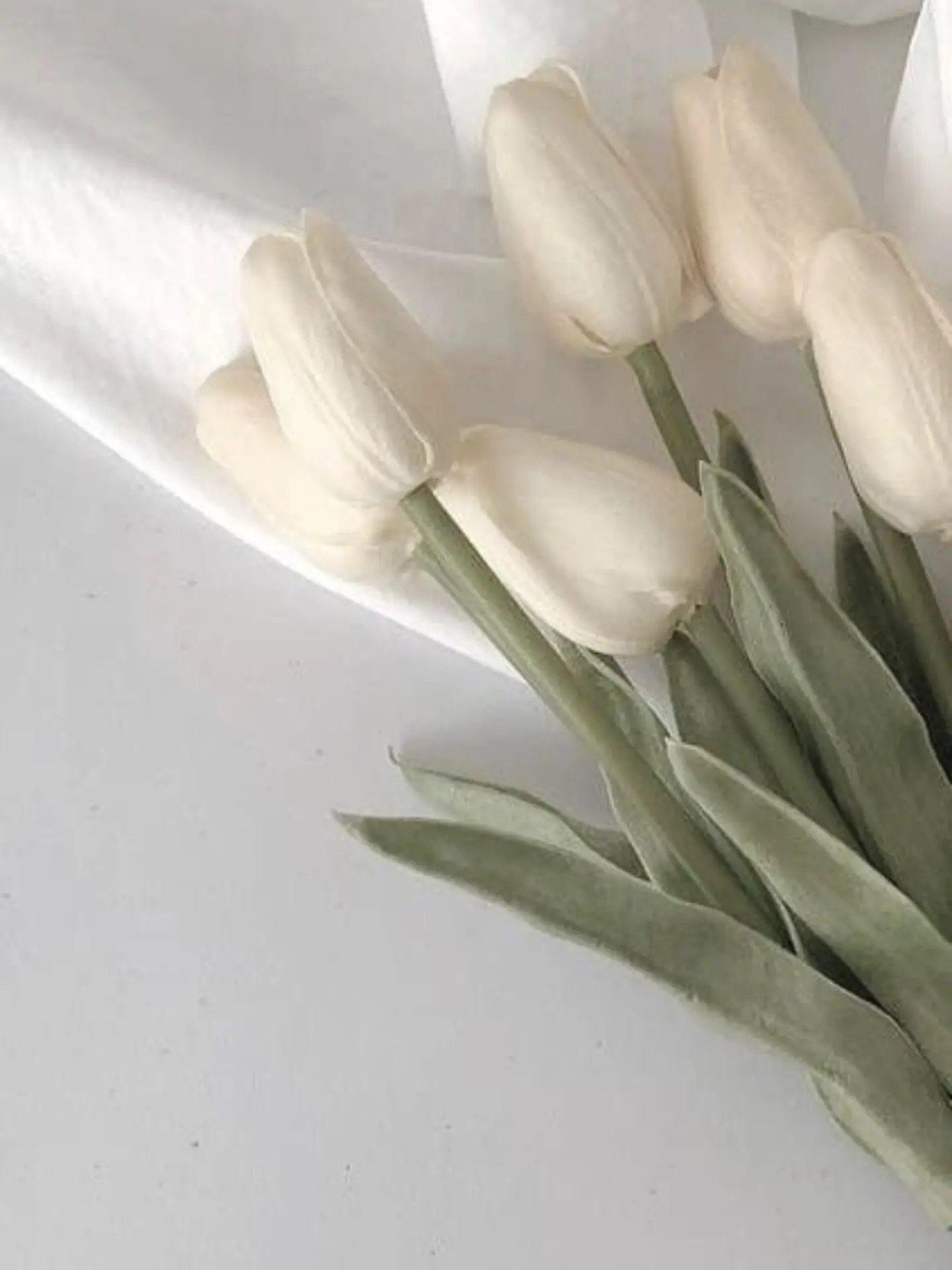 NoisyWolf9978의 {수상한이웃} - [플러스와기본]