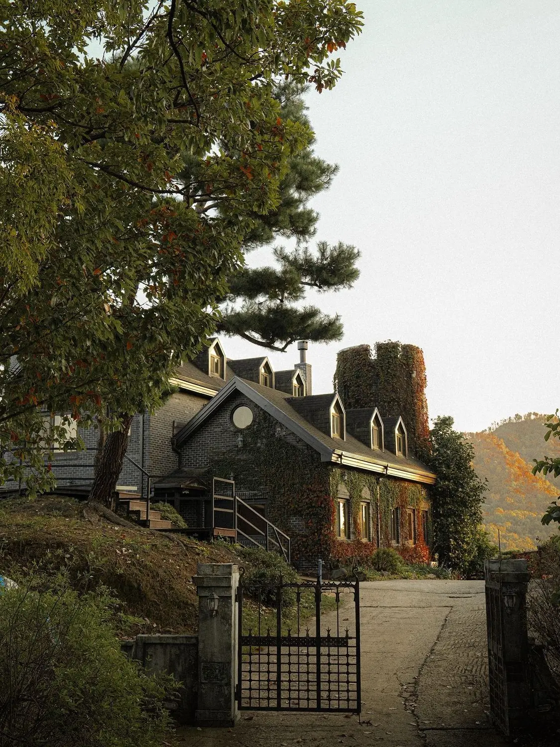 Ding_dang_ding의 Tteul-Tip Orphanage
