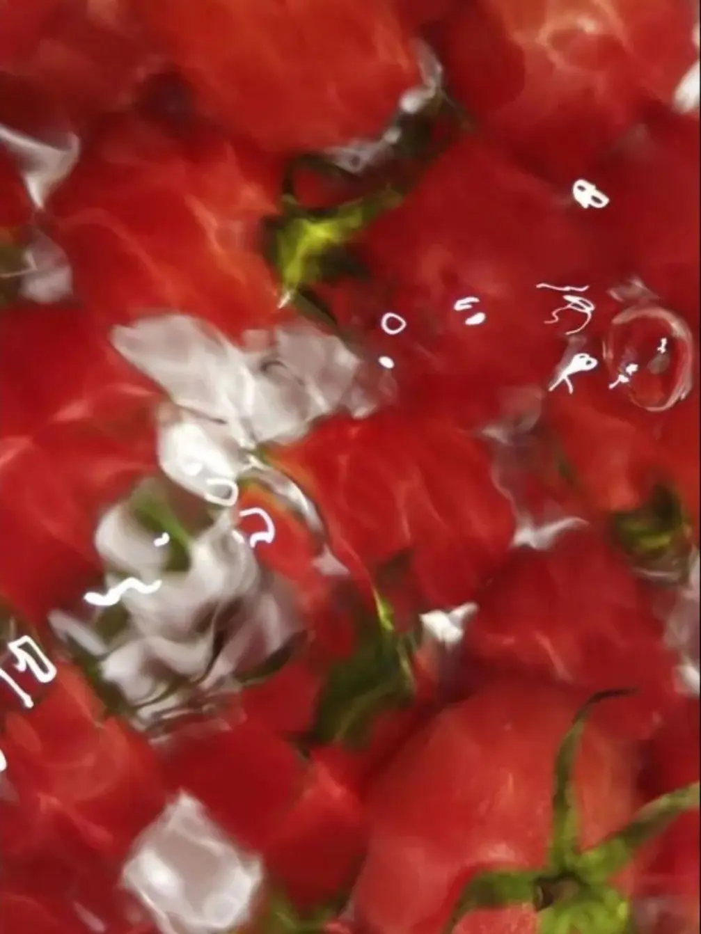 sorrow_0124의 2p포르코×2p라이너