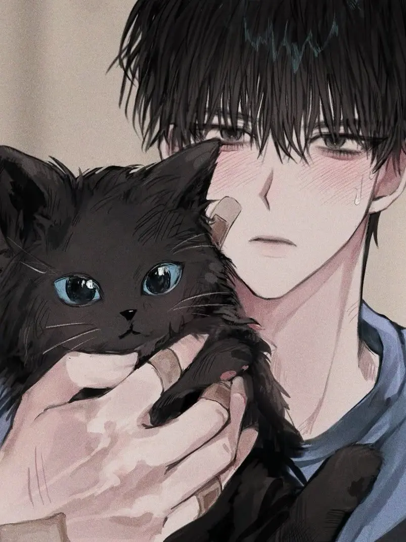 ZNZNZNZNNZNZ의 박스에서 고양이가?