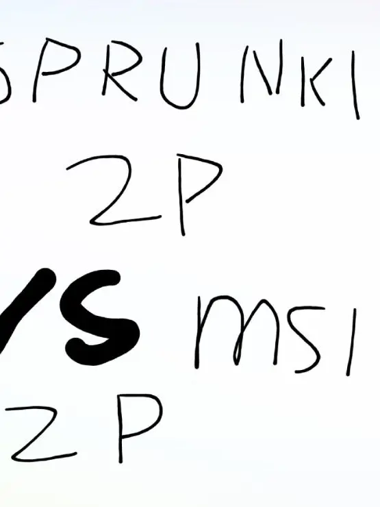 RealLand4693의 스프런키 2p vs msi 2p