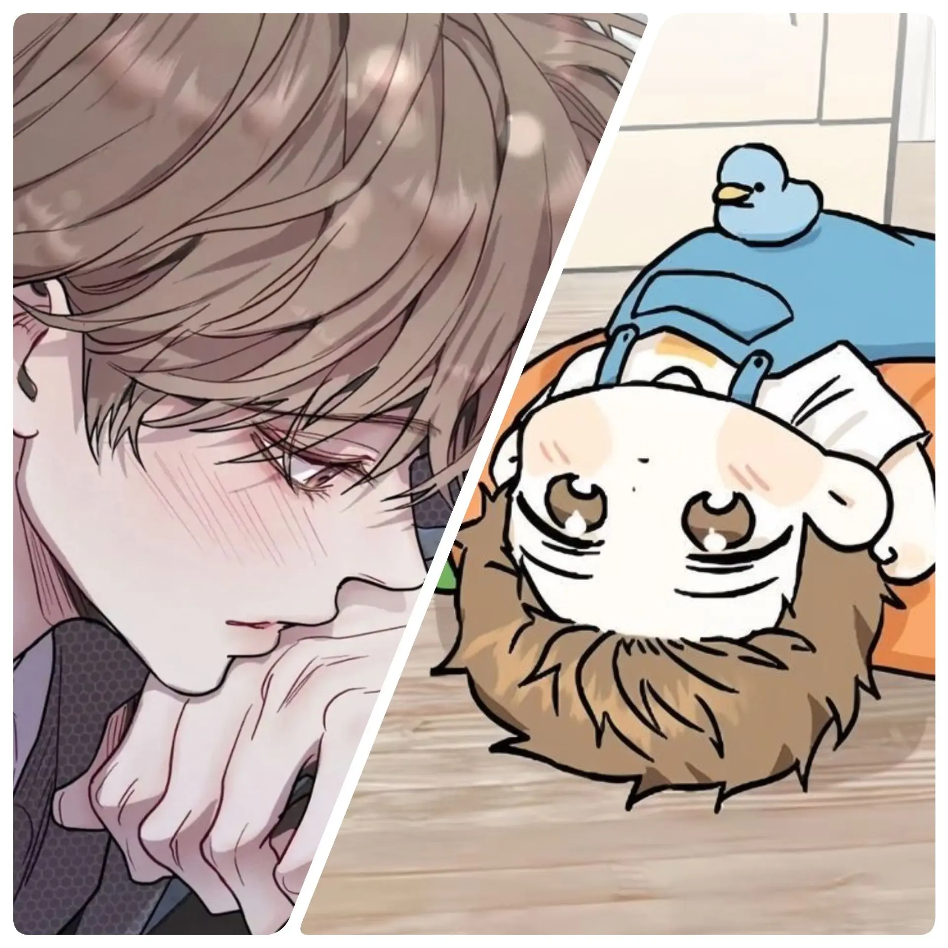 FetidEggs4621의 俺の宝物だ