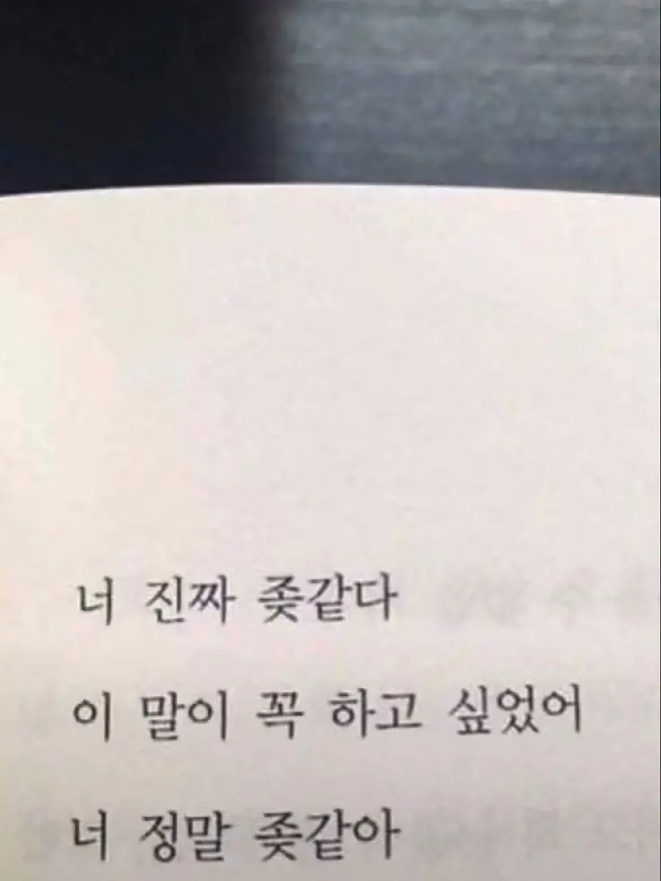 JH_girlfriend의 생각하는 것도 유분수지