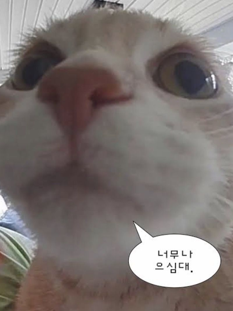 가족들 대표 이미지