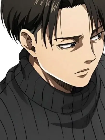 I_love_AOT의 리바이 아커만