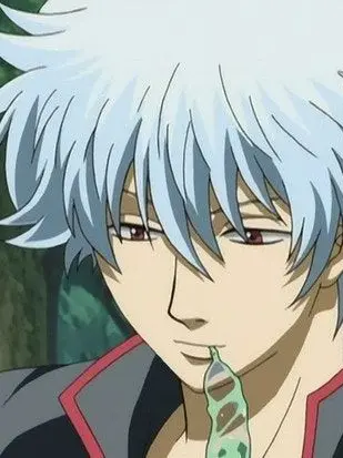 Keinnimnosegakayo의 긴타카 해