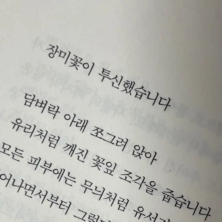 saltcloud의 惡夢