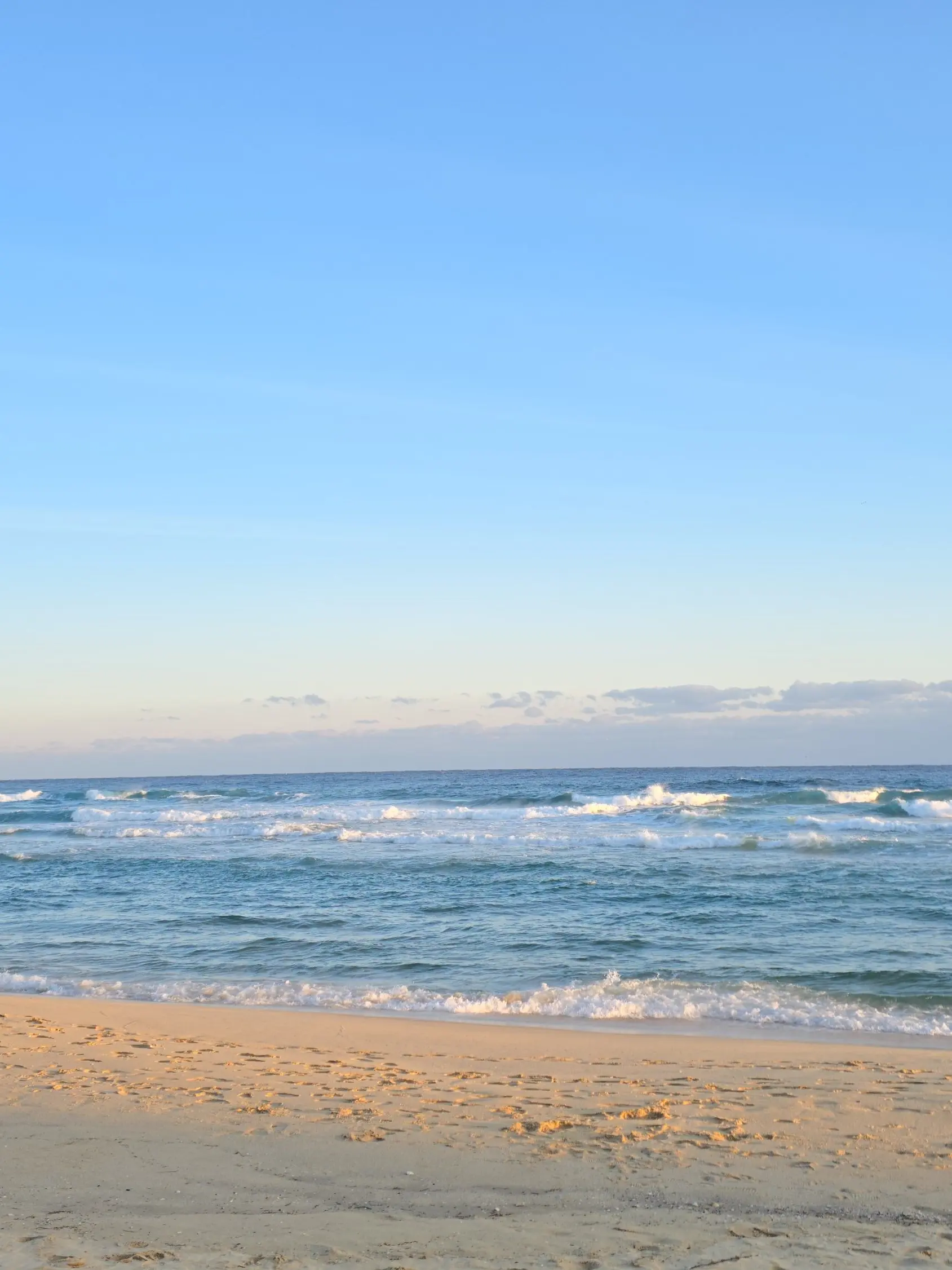 Suhyunjo의 대체 누구야??