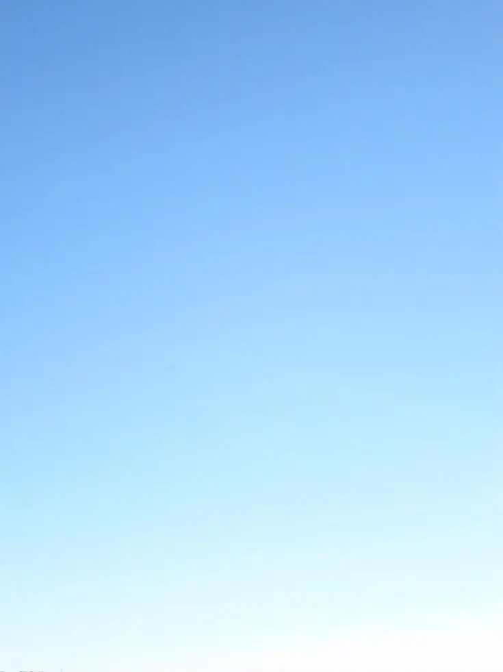 CraftyScarf6102의 공유빈