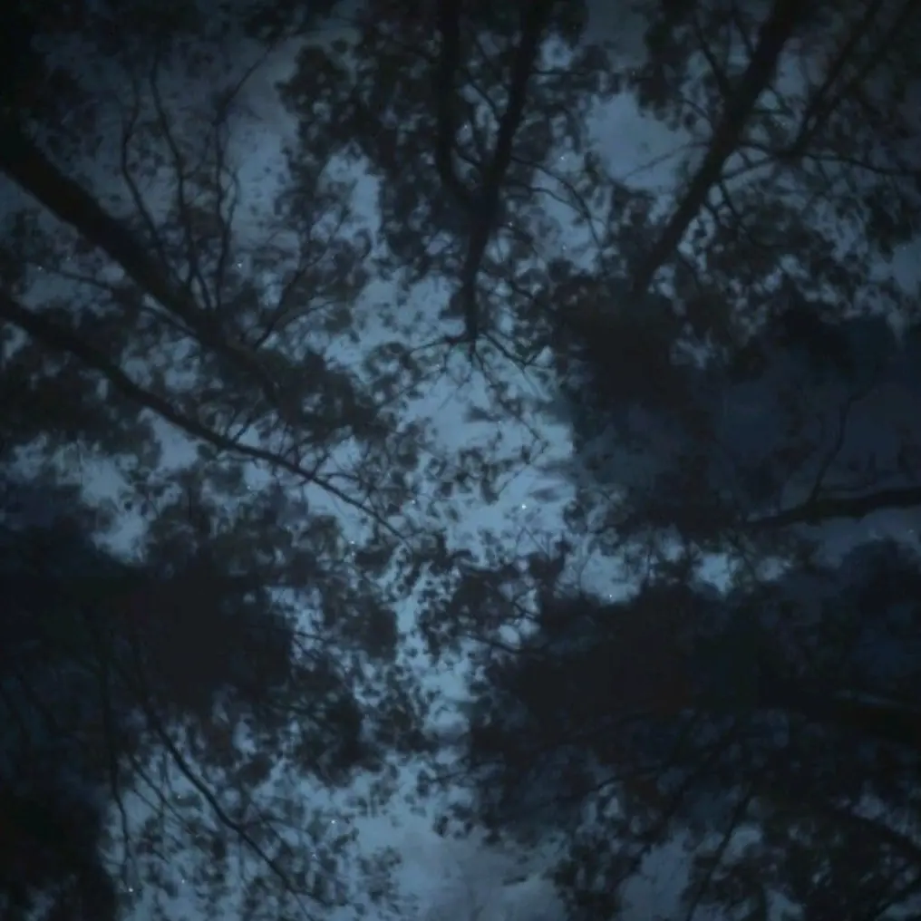 QuietMoth7079의 《위험한,그의 유혹》