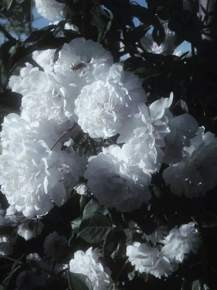 7oo2의 사제지간