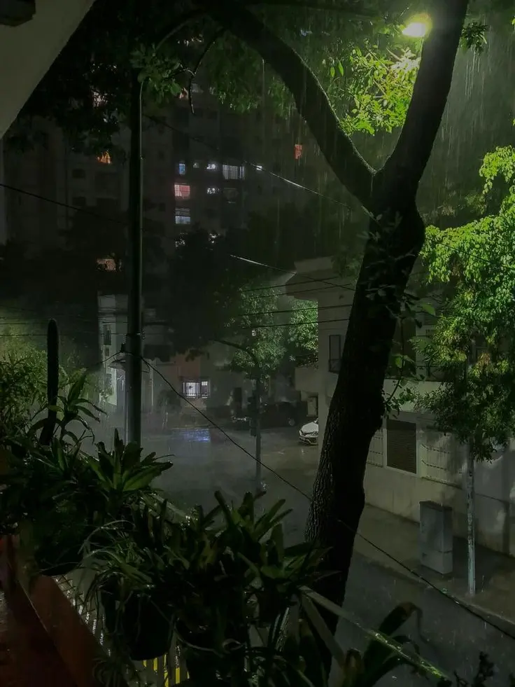 kim_myammi의 운터