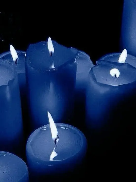 v0x_L0ver...의 PiLOT VOX