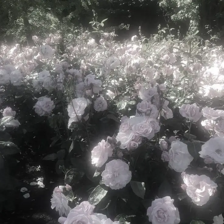 98_ninety-eight.o의 { ✤ : 덕개•☁︎𝄪 }