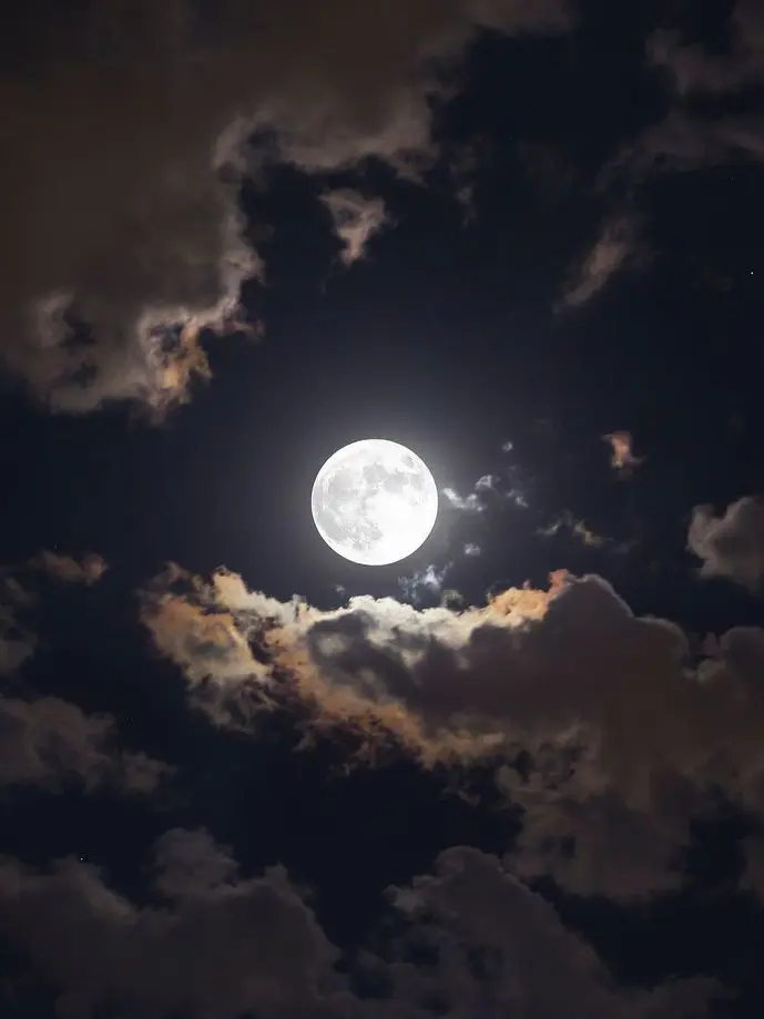 HiQlove의 하나코[유기 아마네]