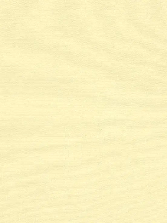 Iover의 조우안신