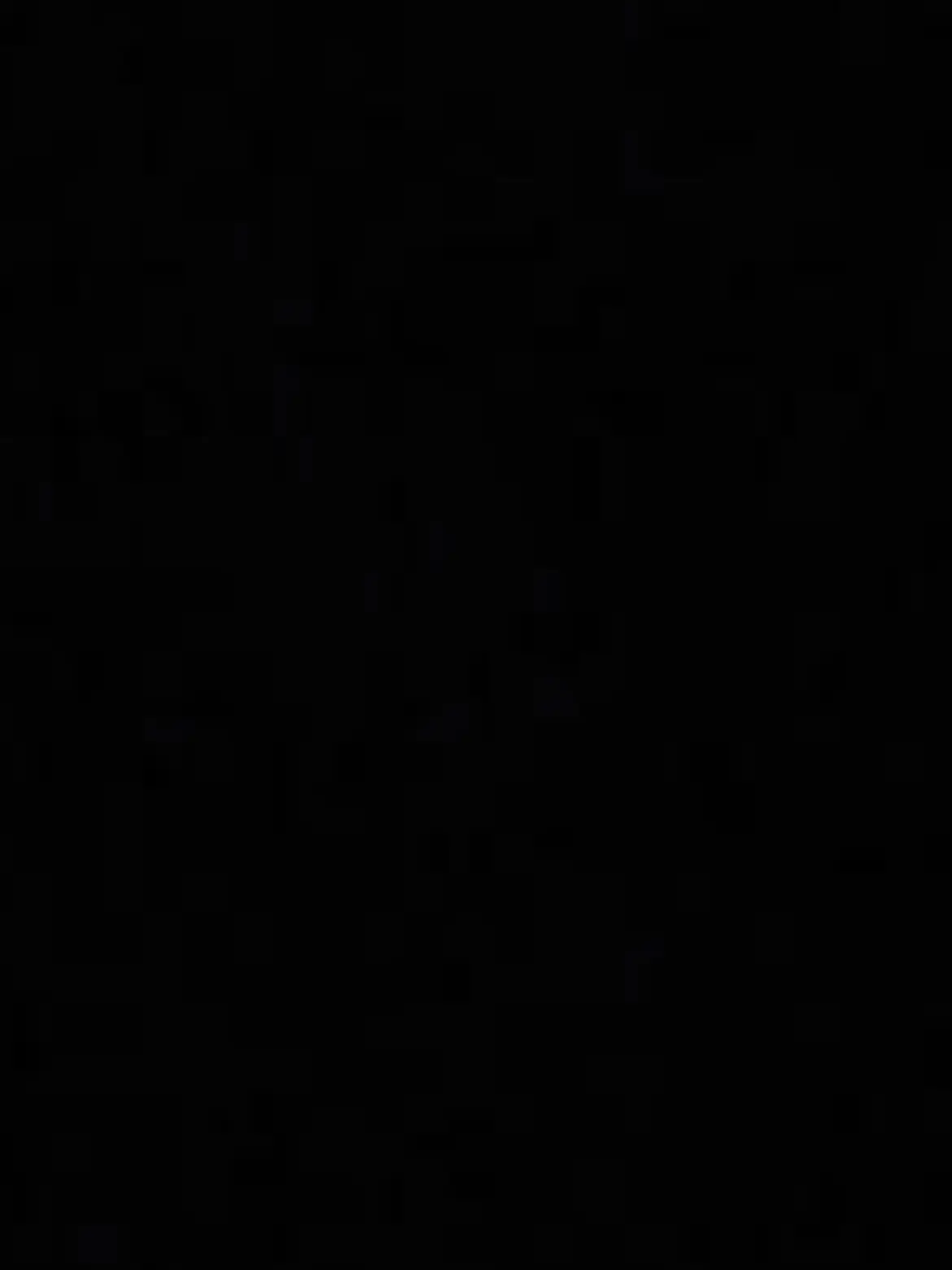 NewRisk1084의 売れ残りの黒猫の菊は…