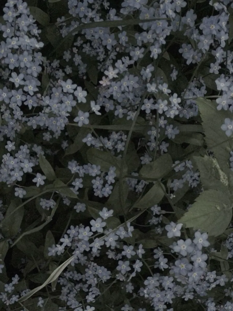 fu_.a02의 幼馴染とボス