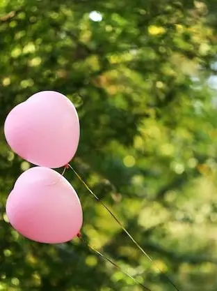 CalmLemur4958의 처음부터