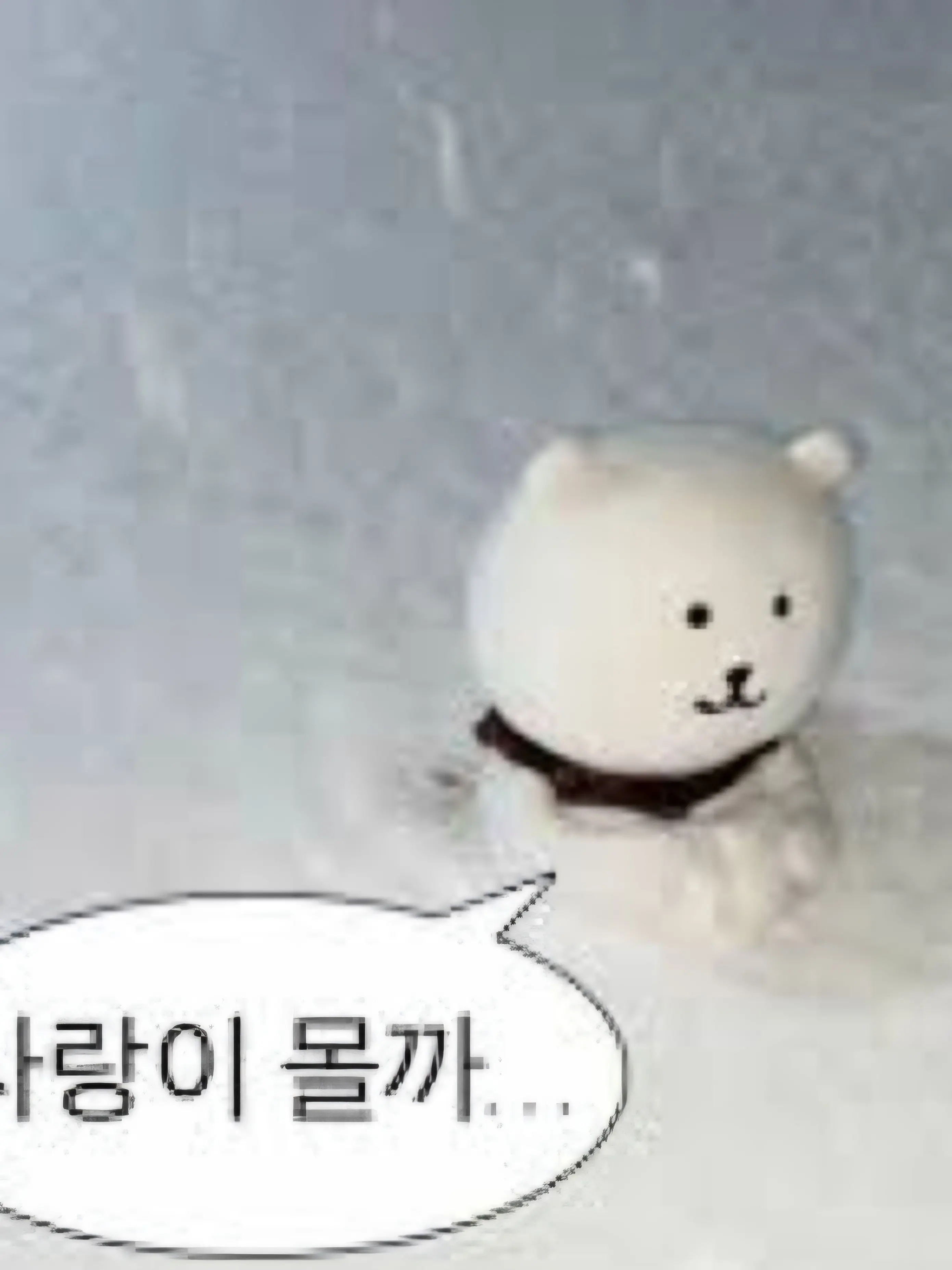 PointyPea5870의 mt인데..후드,유저,여우만 솔로?!