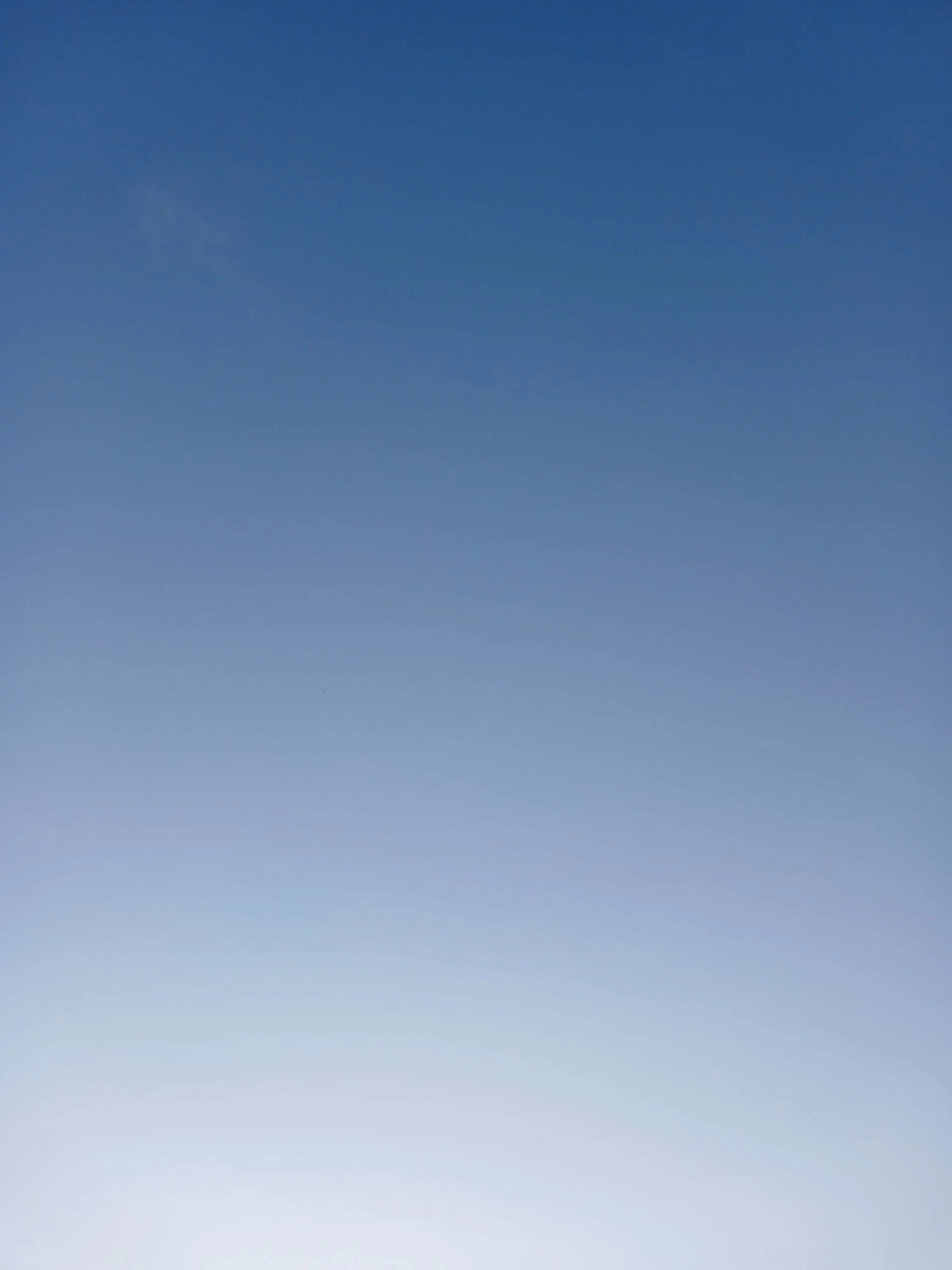 Ninick의 채스터: 오해?