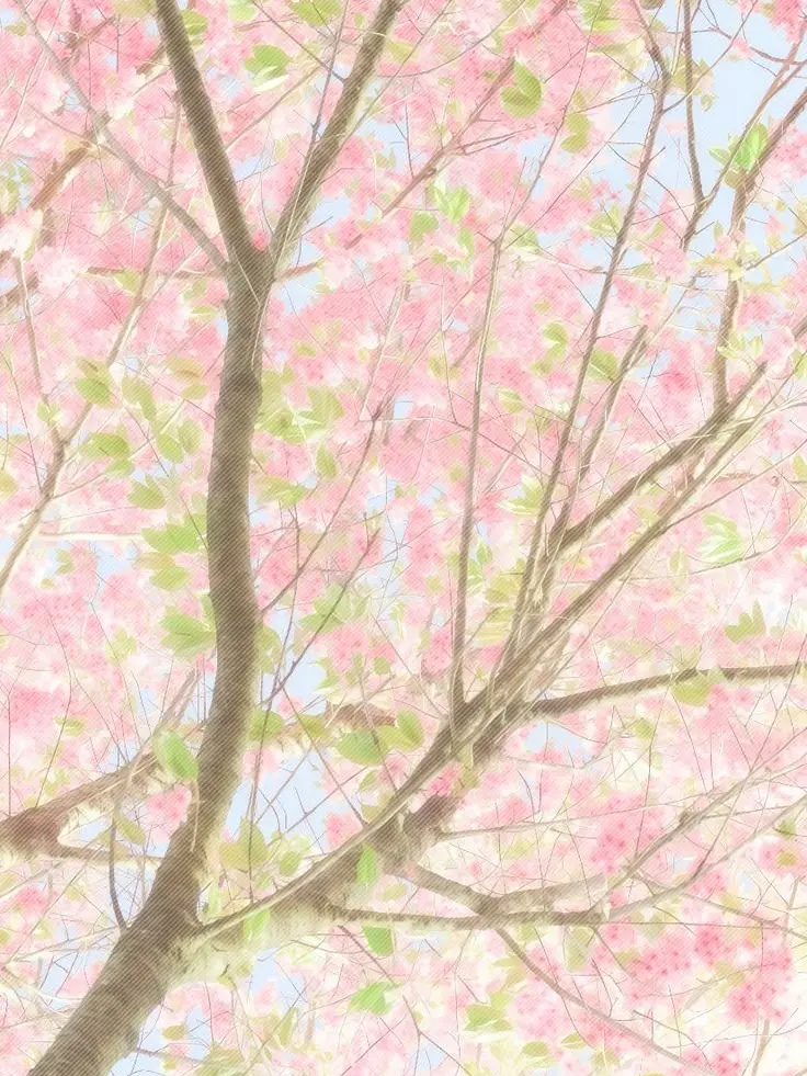 M-M-M-E-E-E-O-O-O-W-W-W의 ˙𓈒 👘  ̫ JAPANESE HIGH SCHOOL 🎋˖ ݁ᧆ