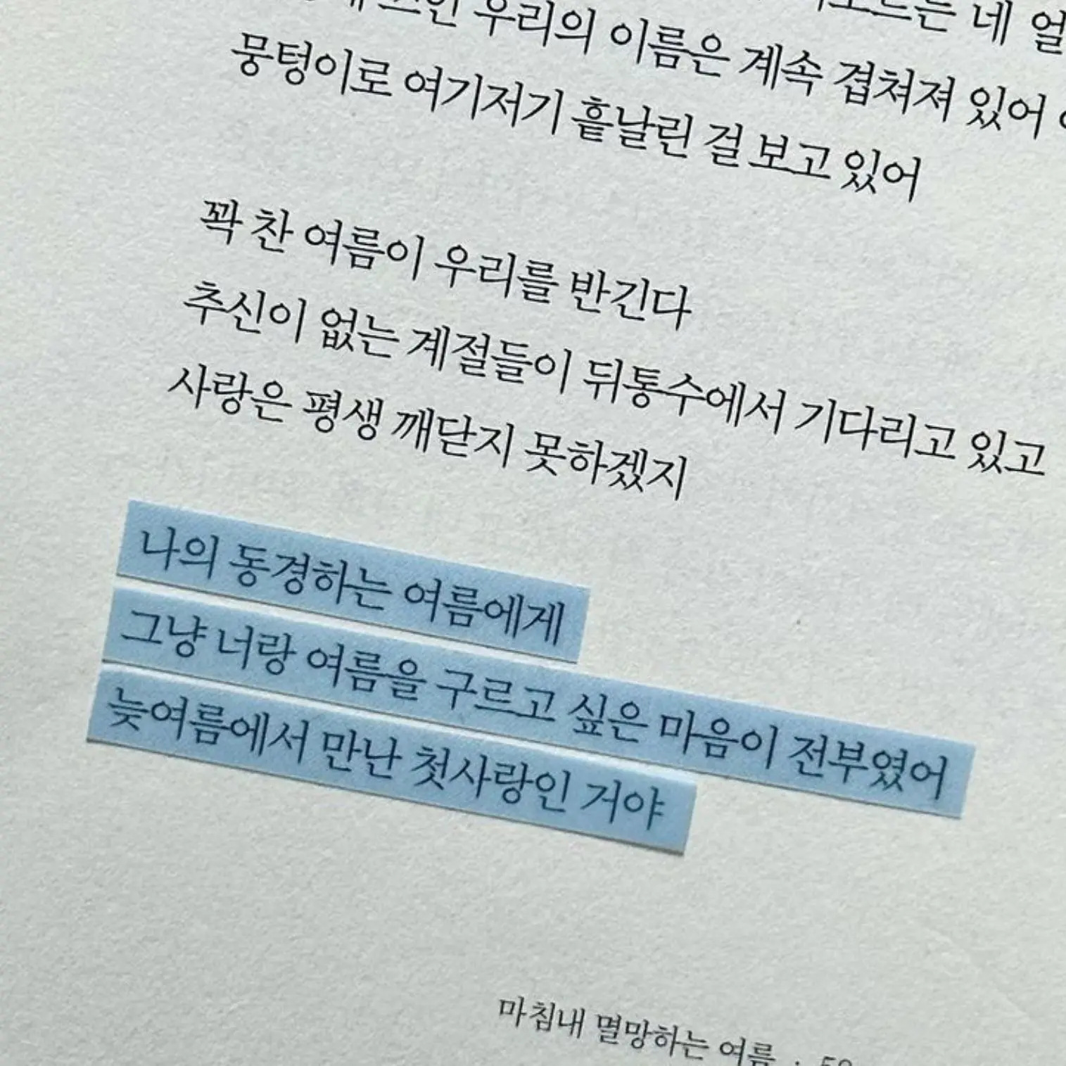 mi.xs0l_의 늑대보단 강아지가 좋은데
