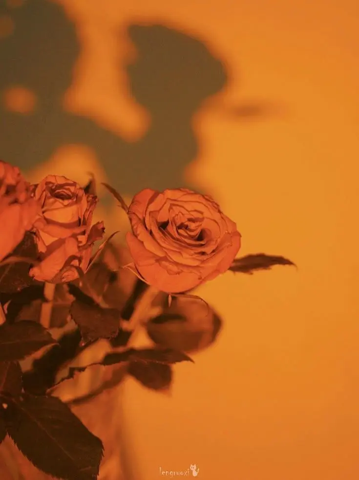 mylovehptgrm의 1214