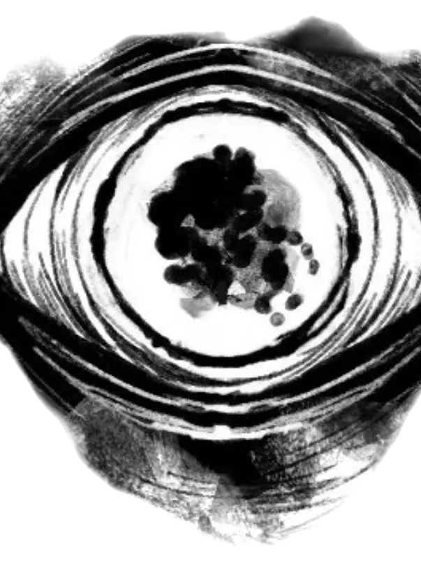 SevereShare1437의 Paranoid